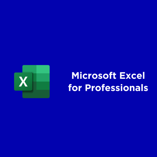 Microsoft Excel for Professionals - Part one